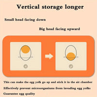Thumbnail for 32-Slot Two-Tier Refrigerator Egg Organizer – White - InspiredGrabs.com