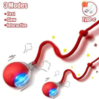 Thumbnail for S856467617e434137bcaa0921321255ec8