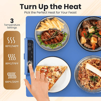 Thumbnail for Adjustable Electric Warming Tray - Food Warmer - InspiredGrabs.com