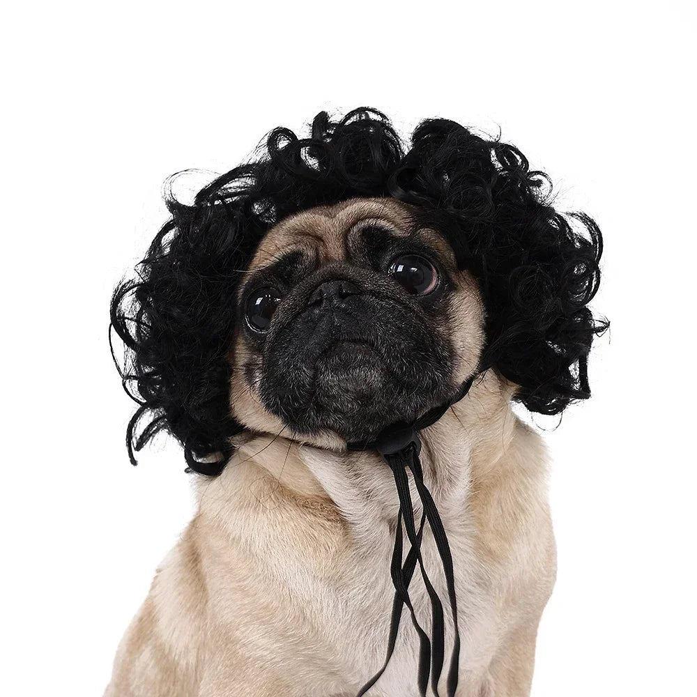 Funny Pet Wig for Dogs & Cats – Halloween Costume Accessory - InspiredGrabs.com