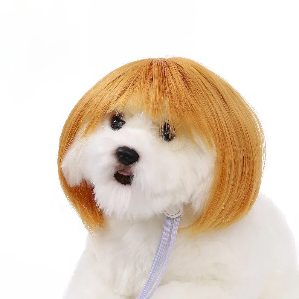 Funny Pet Wig for Dogs & Cats – Halloween Costume Accessory - InspiredGrabs.com
