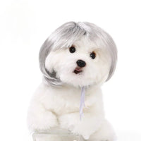Thumbnail for Funny Pet Wig for Dogs & Cats – Halloween Costume Accessory - InspiredGrabs.com