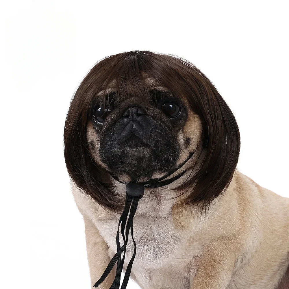 Funny Pet Wig for Dogs & Cats – Halloween Costume Accessory - InspiredGrabs.com