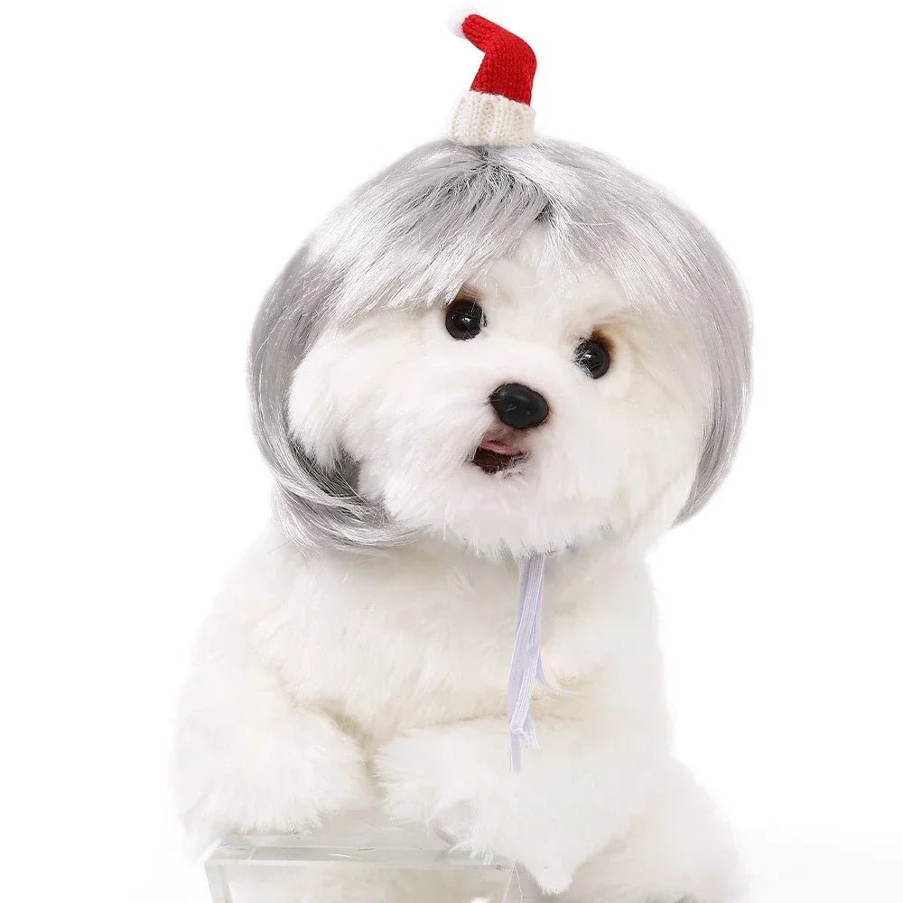 Funny Pet Wig for Dogs & Cats – Halloween Costume Accessory - InspiredGrabs.com