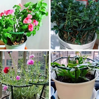 Thumbnail for Green Semicircle Plant Support Stakes, Set of 4 - InspiredGrabs.com