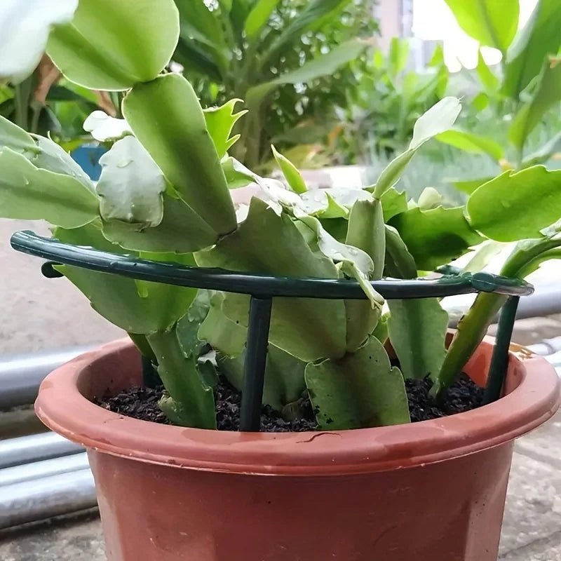 Green Semicircle Plant Support Stakes, Set of 4 - InspiredGrabs.com