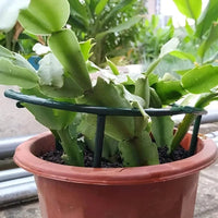 Thumbnail for Green Semicircle Plant Support Stakes, Set of 4 - InspiredGrabs.com