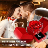 Thumbnail for Luxury Rose Jewelry Box - Perfect Gift for Her - InspiredGrabs.com