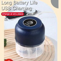 Thumbnail for Mini USB Rechargeable Electric Garlic & Vegetable Chopper - InspiredGrabs.com