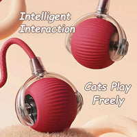 Thumbnail for Rechargeable Interactive Rolling Pet Ball – 2 Modes - InspiredGrabs.com