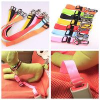 Thumbnail for Fixed Strap Polyester Dog Strap Dog Leash - InspiredGrabs.com