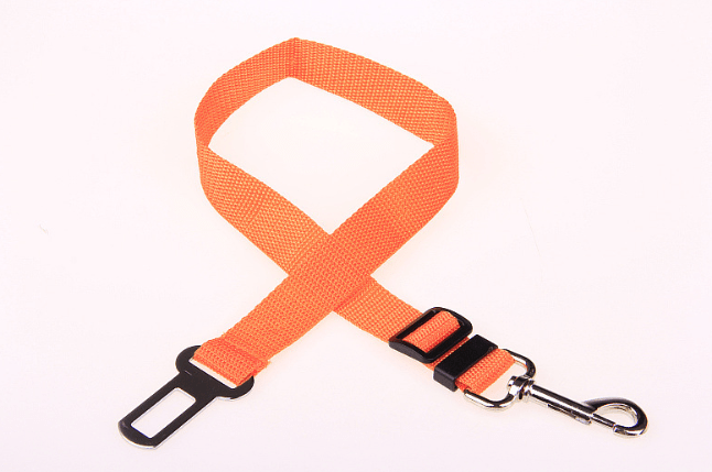 Fixed Strap Polyester Dog Strap Dog Leash - InspiredGrabs.com