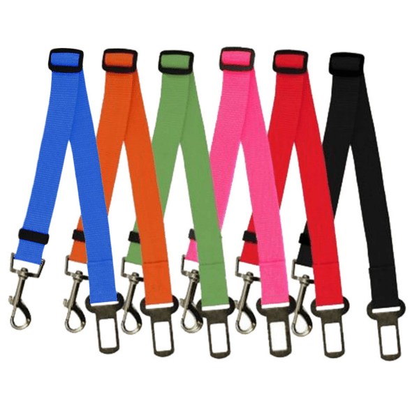 Fixed Strap Polyester Dog Strap Dog Leash - InspiredGrabs.com