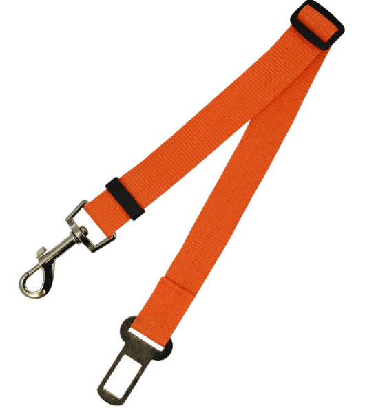 Fixed Strap Polyester Dog Strap Dog Leash - InspiredGrabs.com