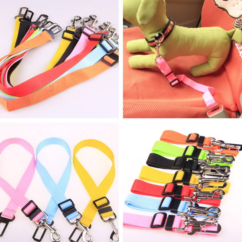 Fixed Strap Polyester Dog Strap Dog Leash - InspiredGrabs.com