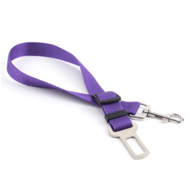 Fixed Strap Polyester Dog Strap Dog Leash - InspiredGrabs.com