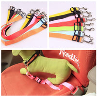 Thumbnail for Fixed Strap Polyester Dog Strap Dog Leash - InspiredGrabs.com