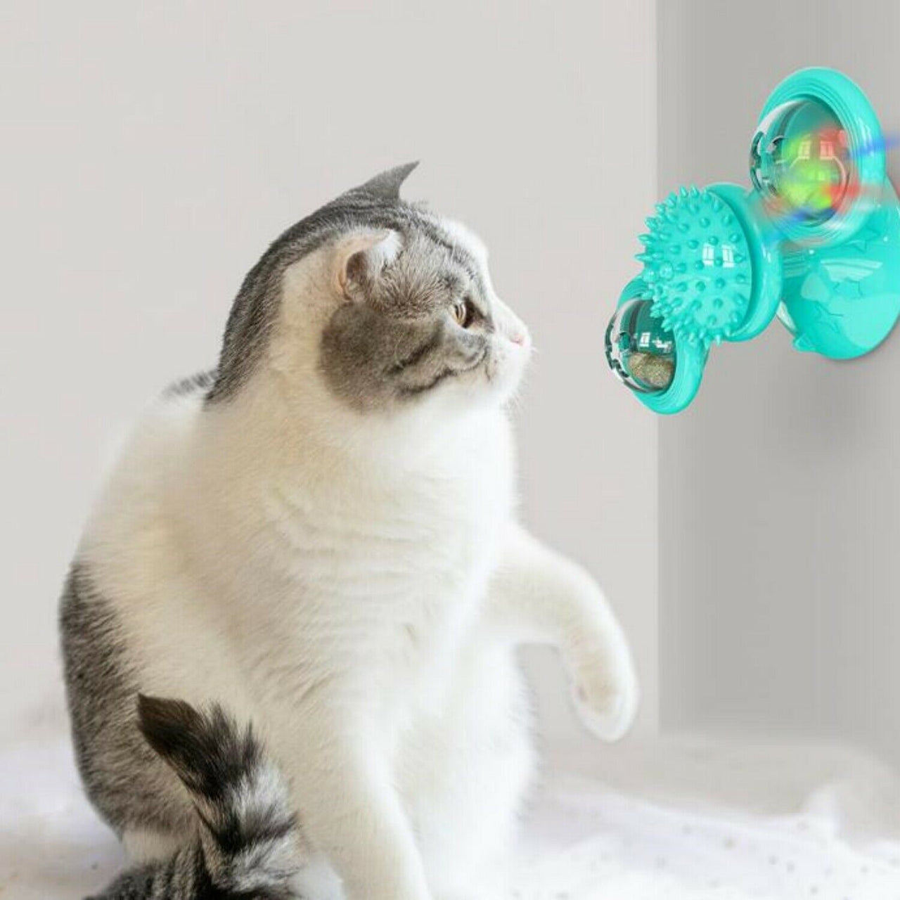 New Windmill Cat Toys Fidget Spinner for Kitten with LED and Catnip Ball - InspiredGrabs.com