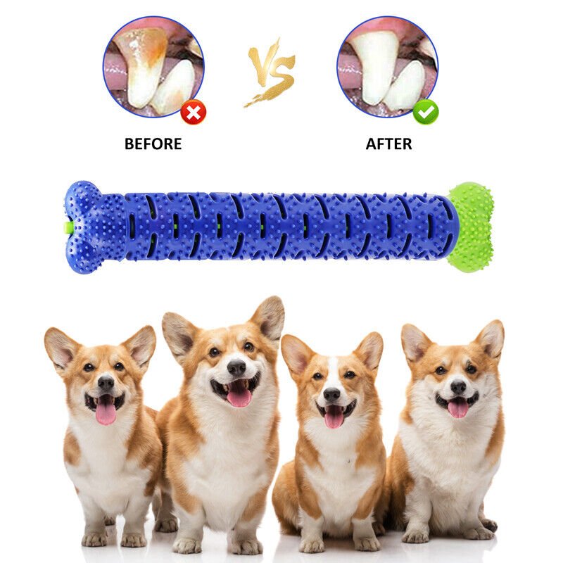 Dog Toys Toothbrush TPR Chew Bite Teeth Cleaning Pet Molar Brushing Stick Dogs Toothbrush Chewing Bite Toy Durable Chewing - InspiredGrabs.com