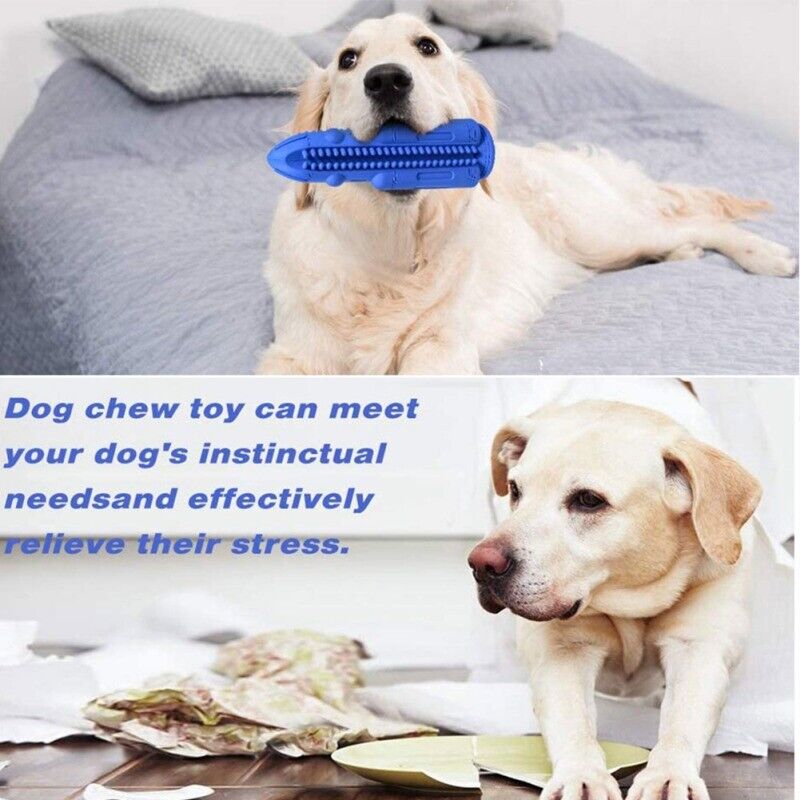 Pet Dog Chew Toy Toothbrush Teeth Cleaning Molar Rubber Squeaky Interactive Dog Toy Food Dispenser Ball Dog Chew Toys Dog Toy Food Dispenser Pet Molar Tooth Cleaning - InspiredGrabs.com