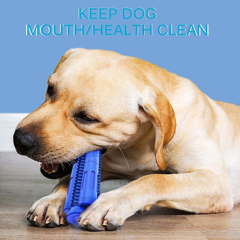 Pet Dog Chew Toy Toothbrush Teeth Cleaning Molar Rubber Squeaky Interactive Dog Toy Food Dispenser Ball Dog Chew Toys Dog Toy Food Dispenser Pet Molar Tooth Cleaning - InspiredGrabs.com