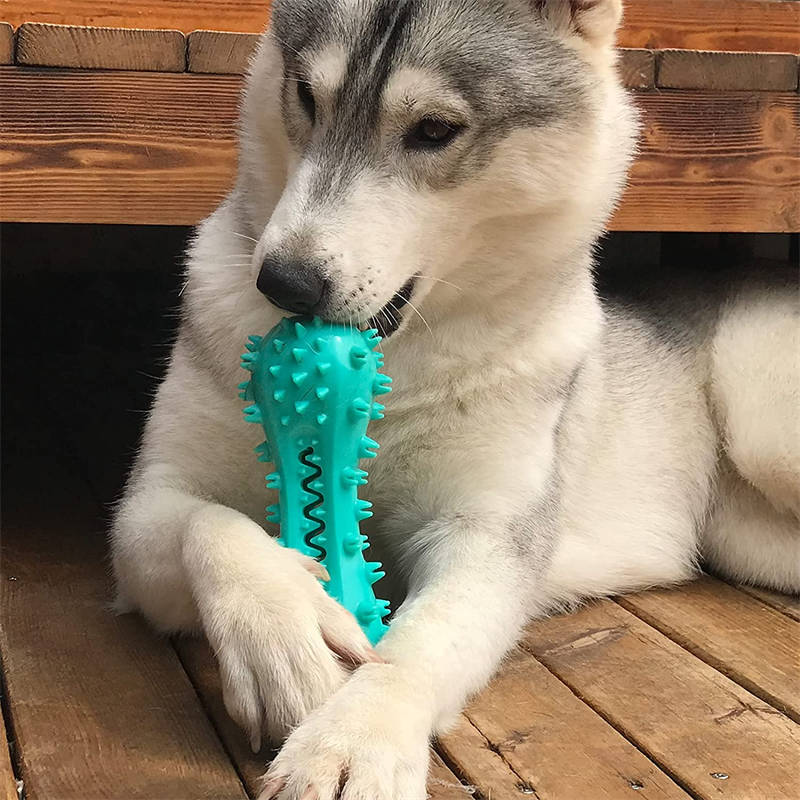 Pet Dog Cleaning Chew Toys for Aggressive Dogs Rubber Molar Stick Dog Oral Teeth - InspiredGrabs.com