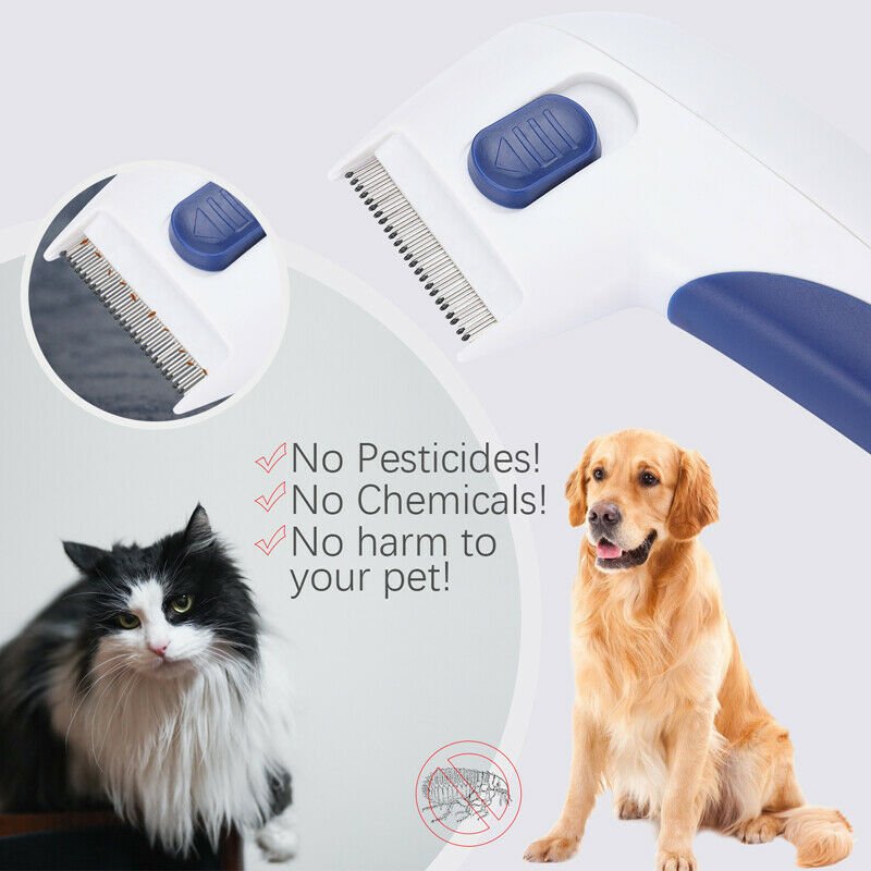 Anti Lice Flea Electric Comb Pet Head Lice Removal Killer Brush Treatment Tool - InspiredGrabs.com